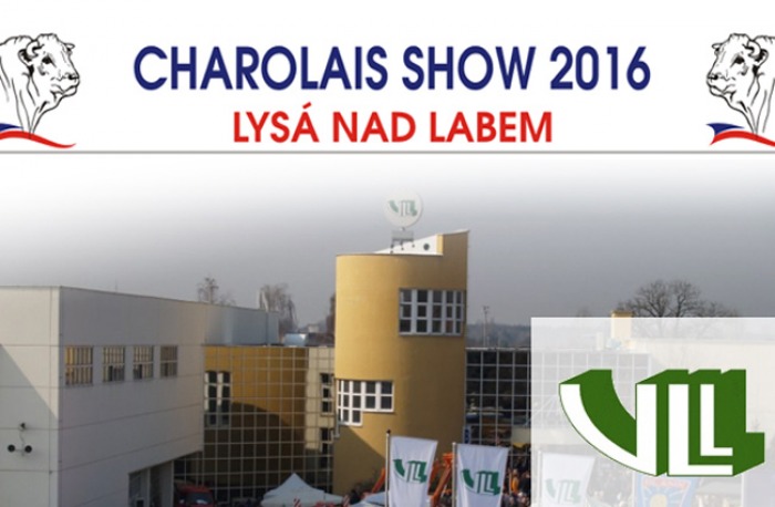 08.10.2016 - Charolais show 2016  /  Výstaviště Lysá nad Labem
