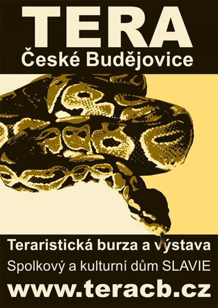 21.02.2016 - TERA BURZA - České Budějovice