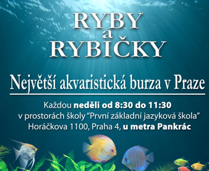 17.04.2016 - RYBY A RYBIČKY - Největší výstavní a prodejní akvaristická burza v Praze