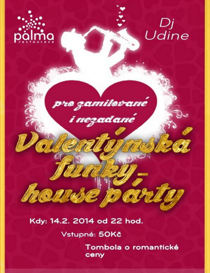 14.02.2014 - Valentýnská FUNKY - HOUSE párty
