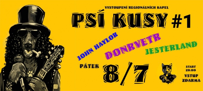 08.07.2016 - PSÍ KUSY - 1 koncert regionálních kapel / Pardubice