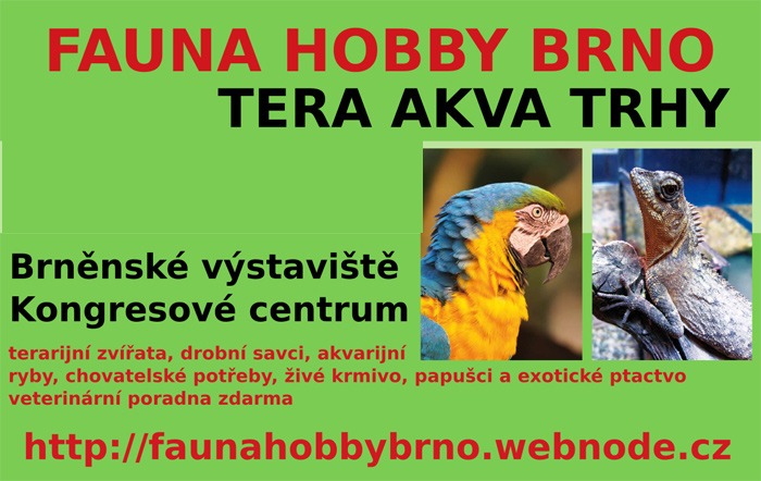 26.11.2017 - Fauna hobby Brno