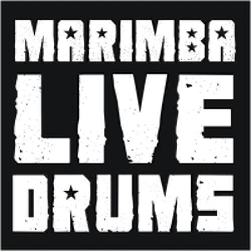 20.03.2014 - Marimba live drums