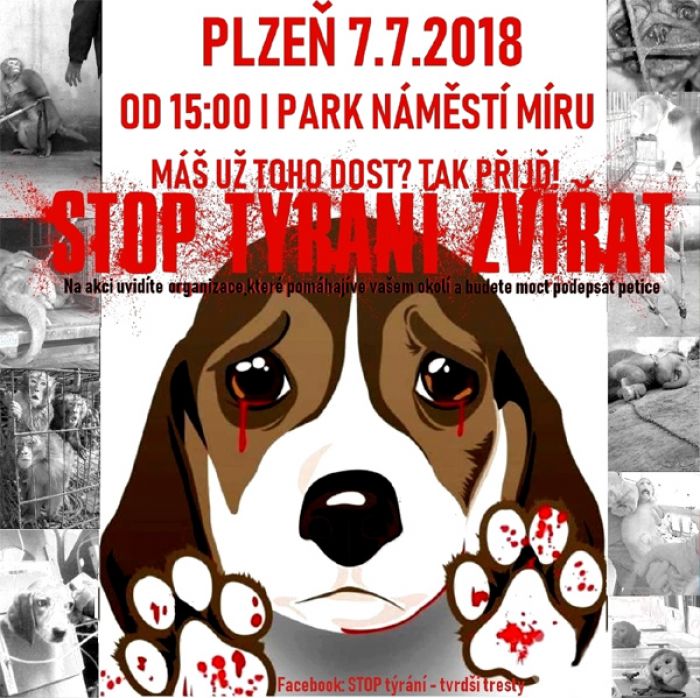 07.07.2018 - Demonstrace: STOP týrání - Tvrdší tresty / Plzeň