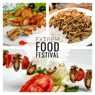 08.09.2018 - Extreme food festival Olomouc 2018