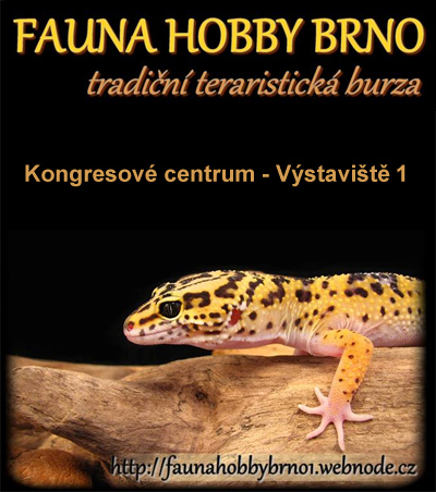 25.08.2019 - Fauna hobby 2019 -  Brno