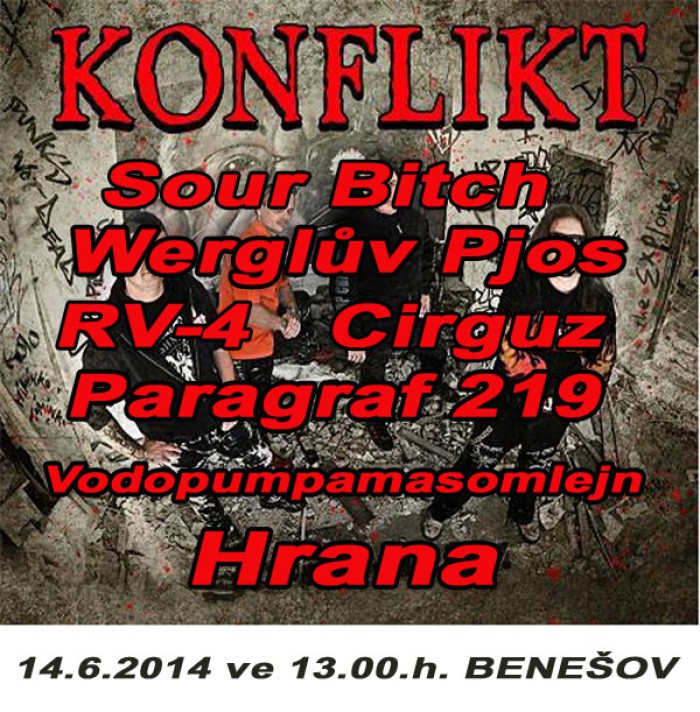 14.06.2014 - Punk rock for Ferdinand - Benešov