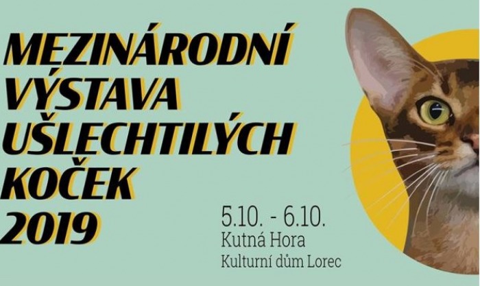 05.10.2019 - Mezinárodní výstava koček - Kutná Hora 