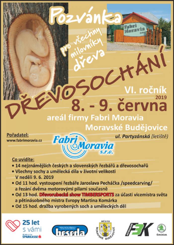 08.06.2019 - VI. ročník Dřevosochání - Moravské Budějovice