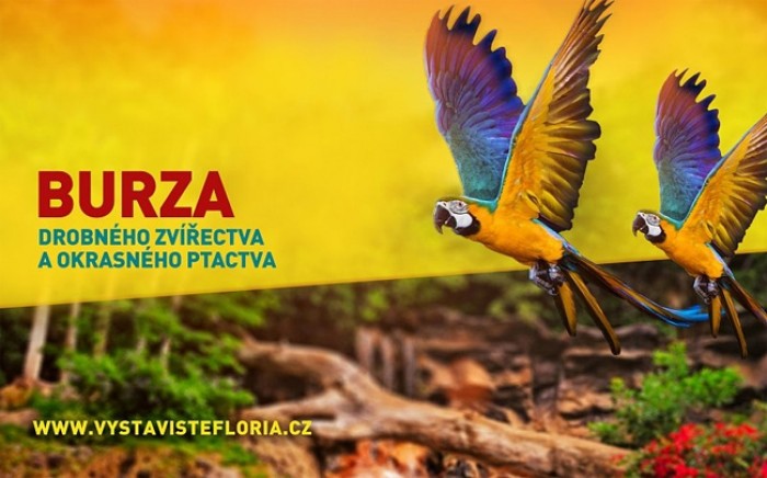 20.10.2019 - Burza drobného zvířectva a okrasného ptactva - Kroměříž