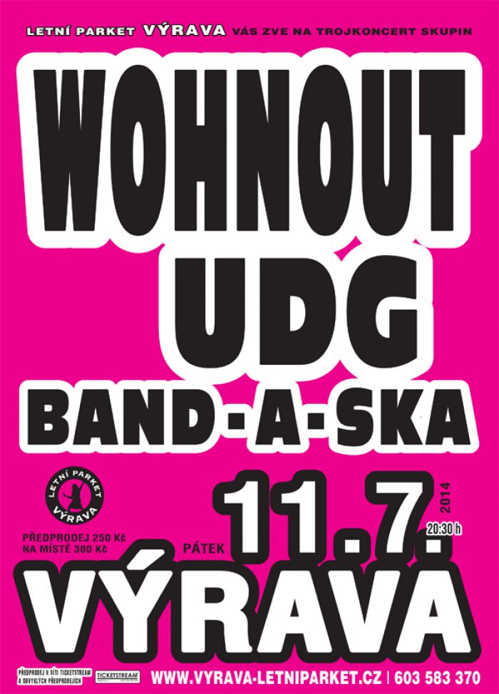 11.07.2014 - WOHNOUT + UDG + BAND - A - SKA