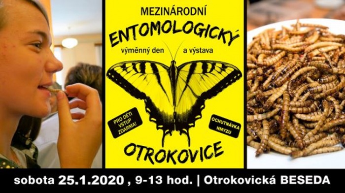 25.01.2020 - Entomologická výstava v Otrokovicích: exempláře hmyzu z celého světa