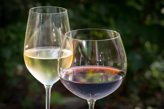 21.02.2020 - Řízená ochutnávka vín - Svinaře u Berouna