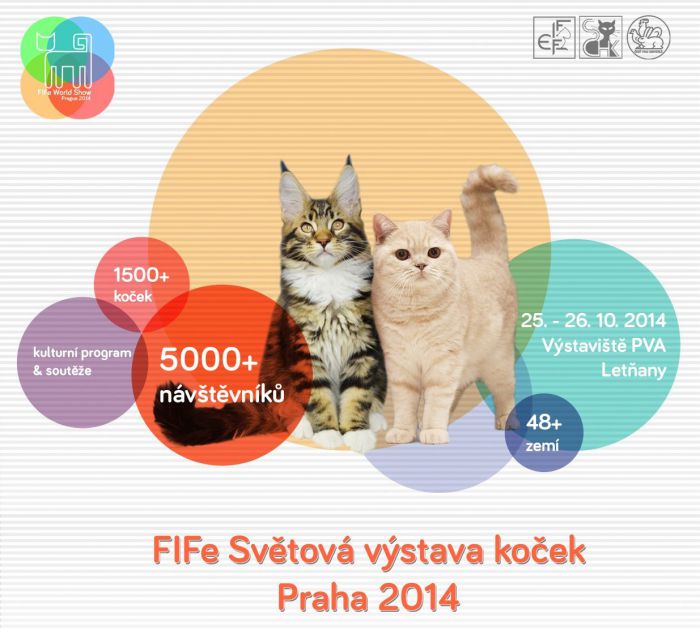 25.10.2014 - FIFe Světová výstava koček 2014 - Praha Letňany