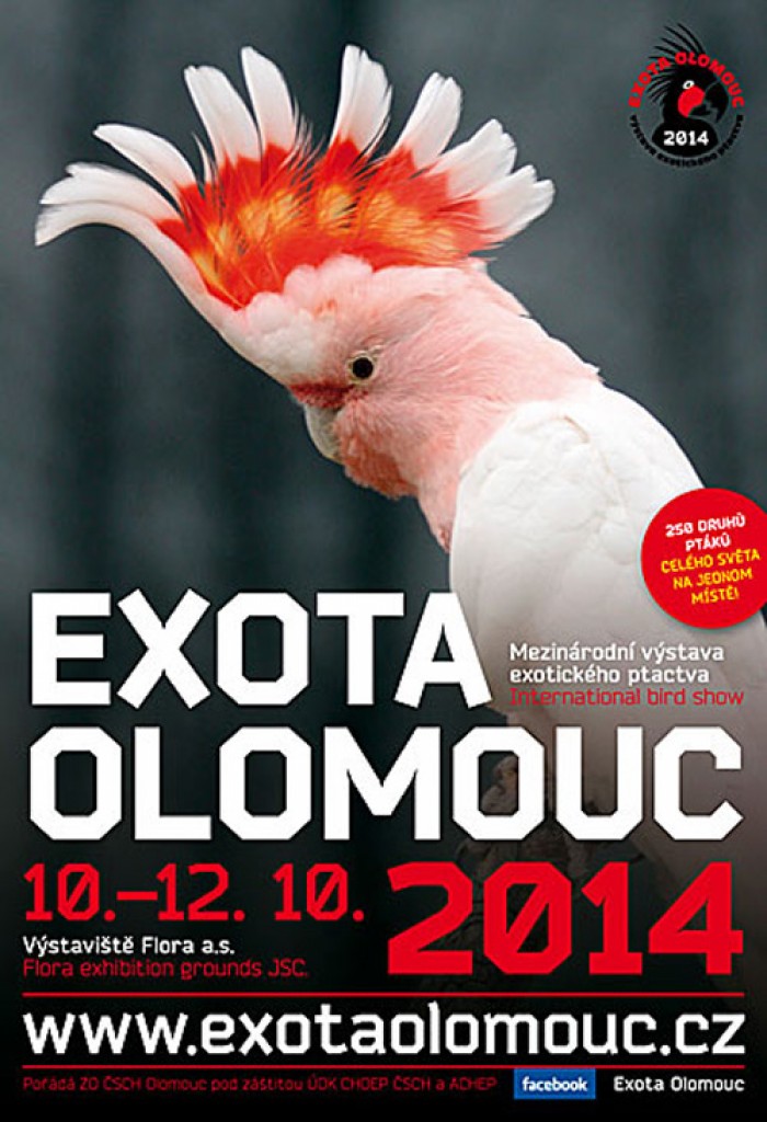10.10.2014 - EXOTA 2014 - OLOMOUC