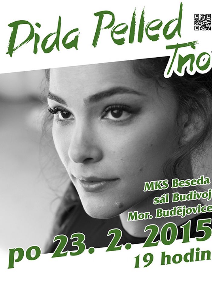 23.02.2015 - Dida Pelled Trio - koncert /  Moravské Budějovice