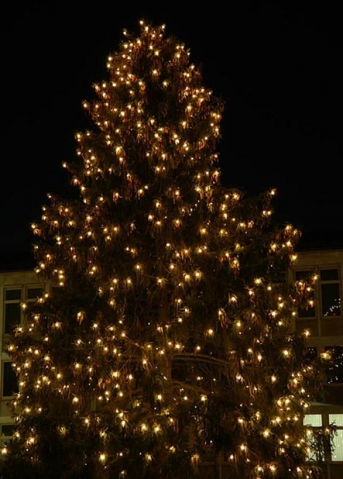 29.11.2015 - Rozsvícení vánočního stromu - Dolní Bousov