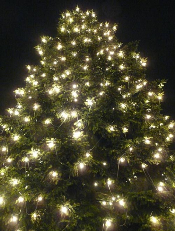 29.11.2015 - Adventní průvod světýlek a rozsvícení vánočního stromu - Český Brod