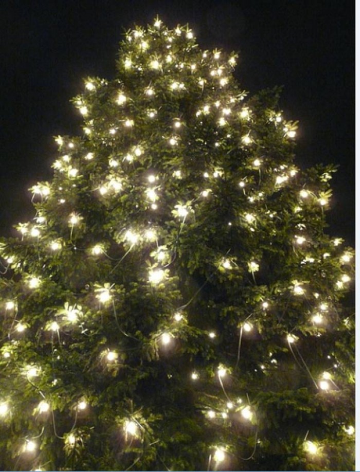 29.11.2015 - Slavnostní rozsvícení vánočního stromu - Sázava